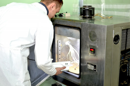 Особенности и последствия воздействий температур.jpg